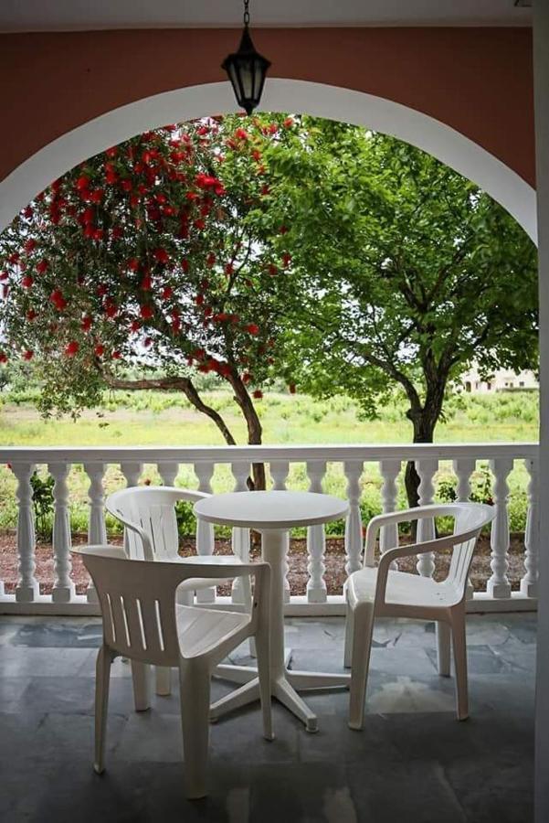 Souda Studios Alykes Zakynthos Екстериор снимка